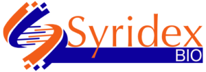 logo venture creation
